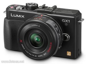 Panasonic Lumix DMC-GX1 Manual